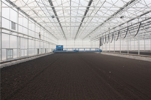 Solar sludge drying